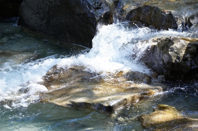 The GRANDER&reg; Effect